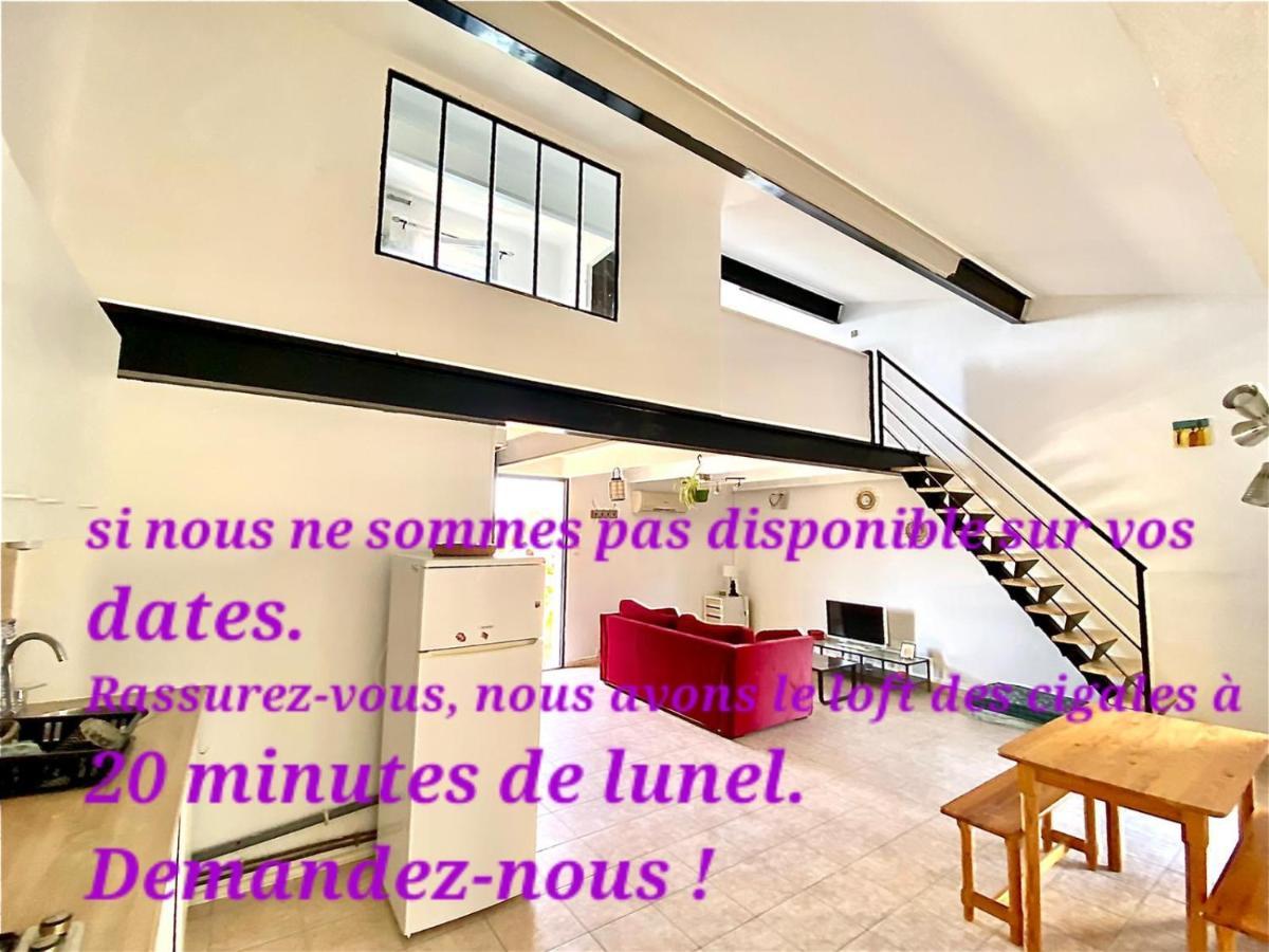 吕内尔Loft Ambrussum, Jacuzzi, Jardin,Bbq别墅 外观 照片